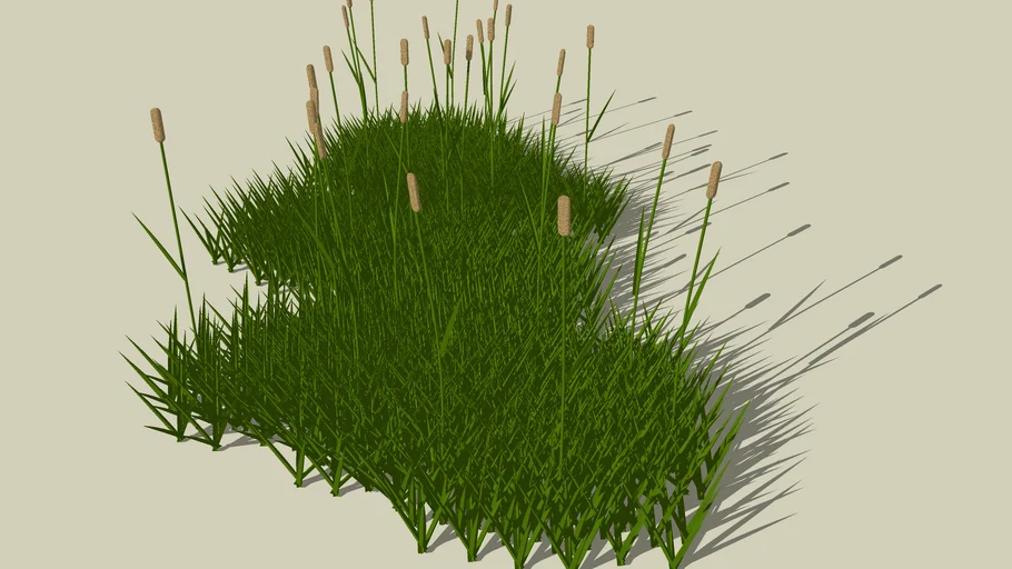 grass 1