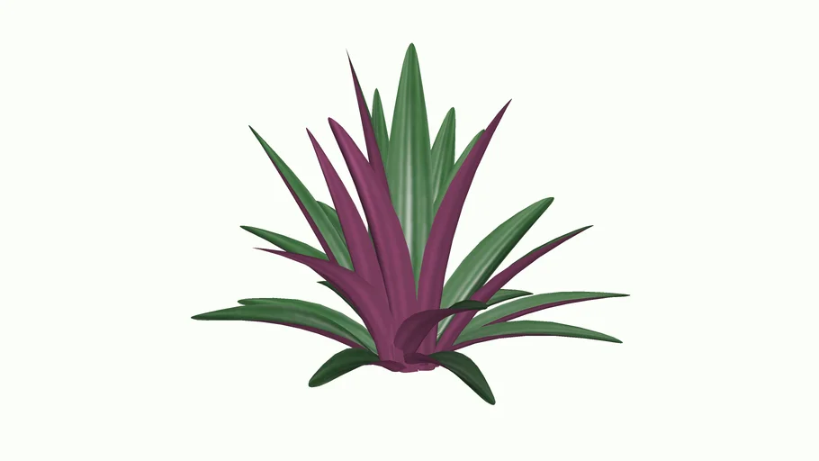 RHOEO