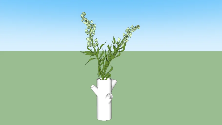 plant