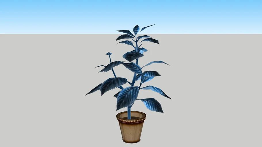 Potted plant