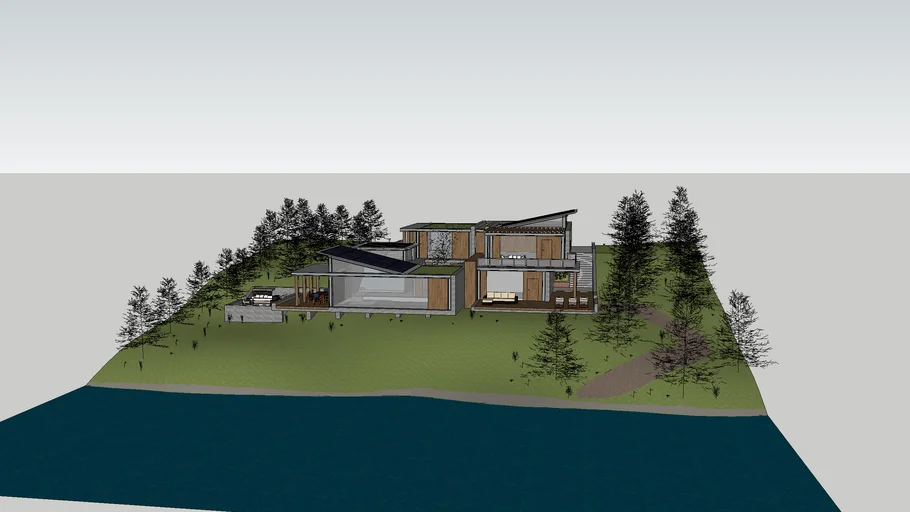 Forest Modern House