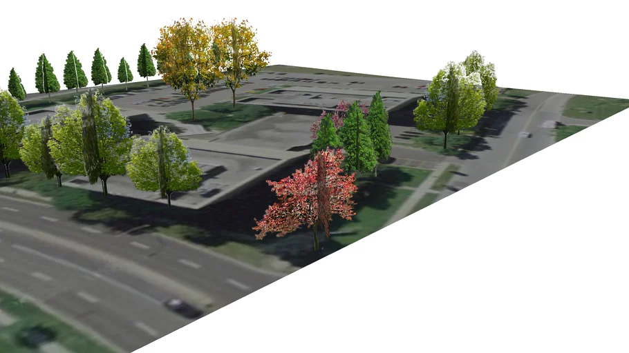 Trees in Canada - Toronto 10002