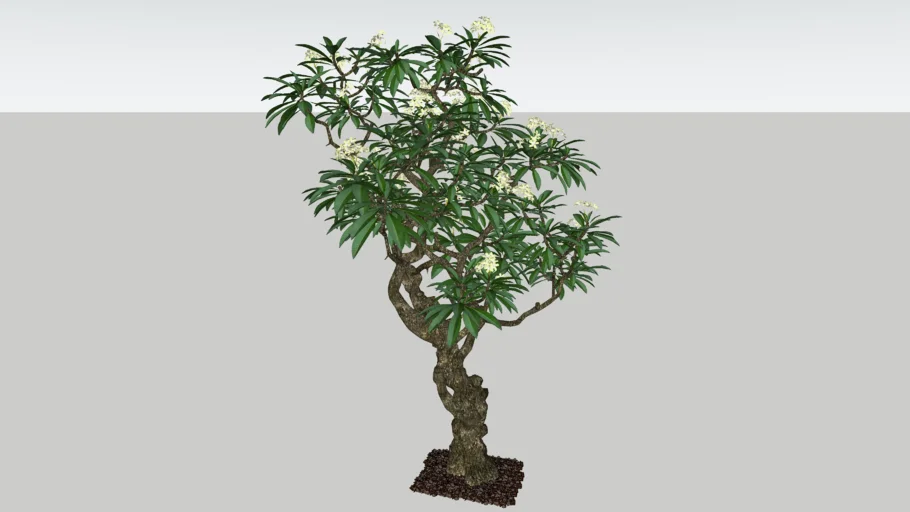 VIIC 31 | 3D Warehouse