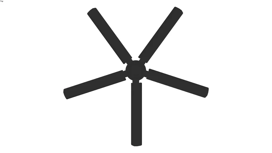 fan