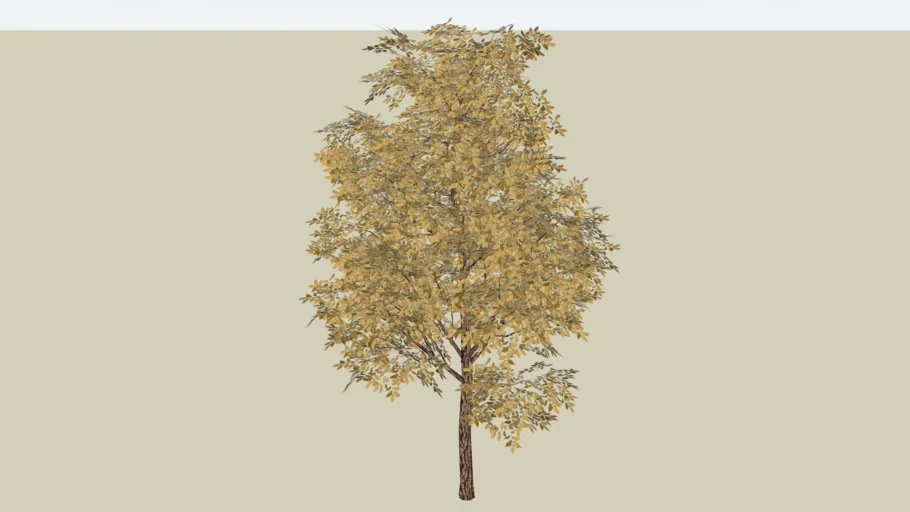 Standard Tree - Tall - Autumn