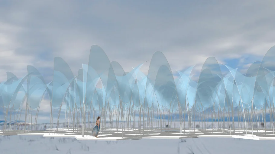 Translucent Compound Wave Form Canopy 15.12.26