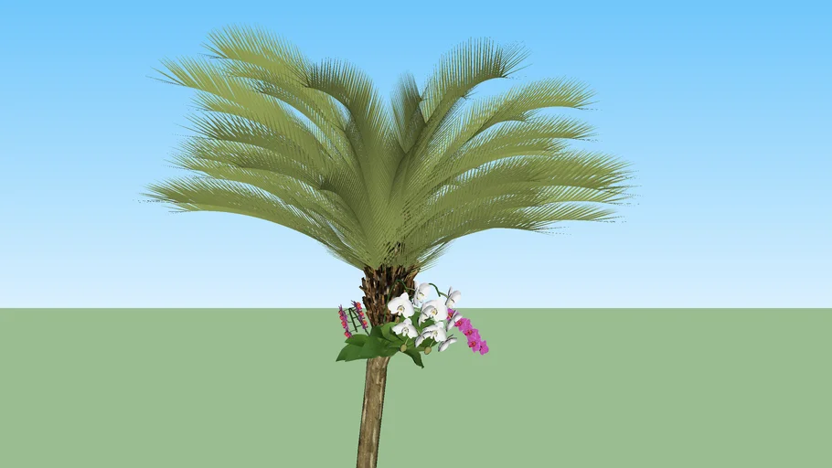 PALMEIRA FÊNIX COM ORQUÍDEA