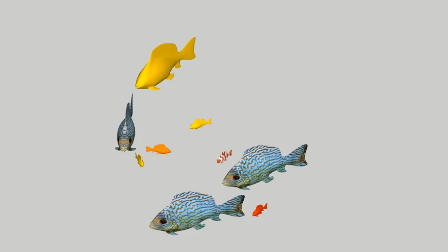 Fish
