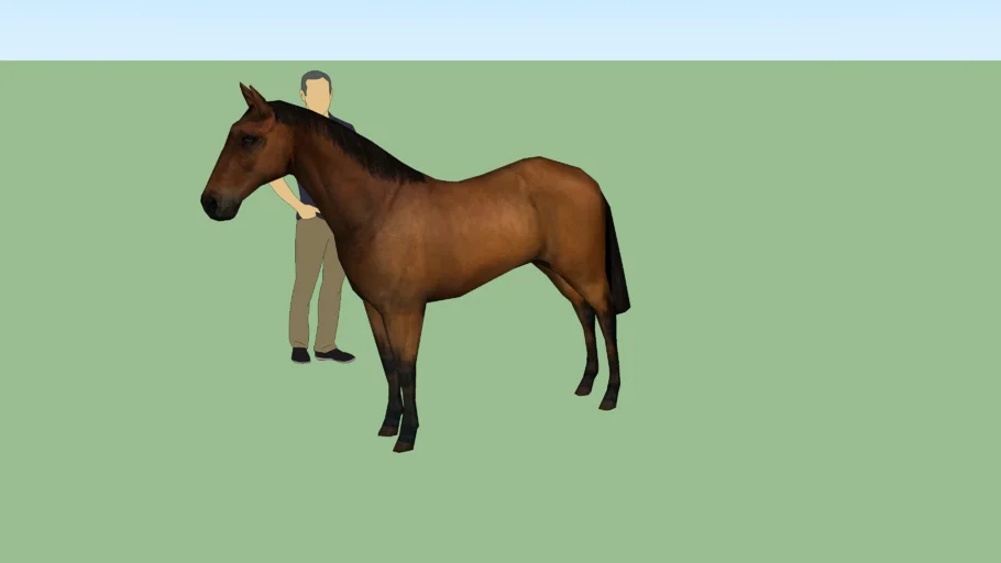 horse