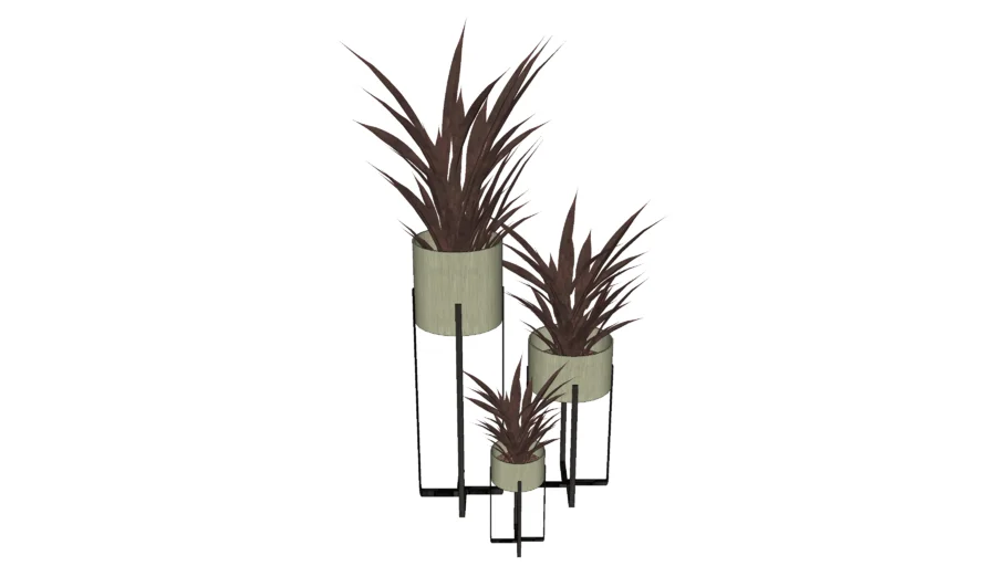 plants