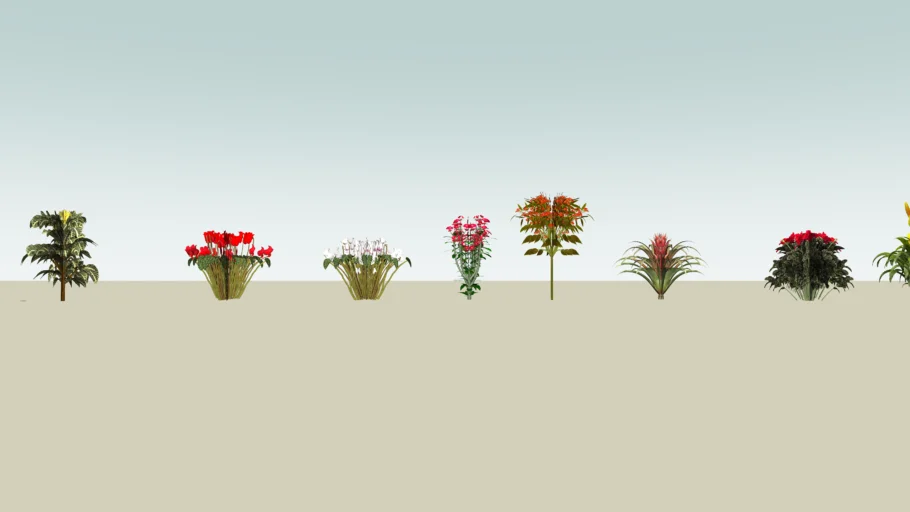 Flores - Flowers