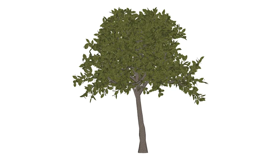 Artificial Live Oak Tree - 3D