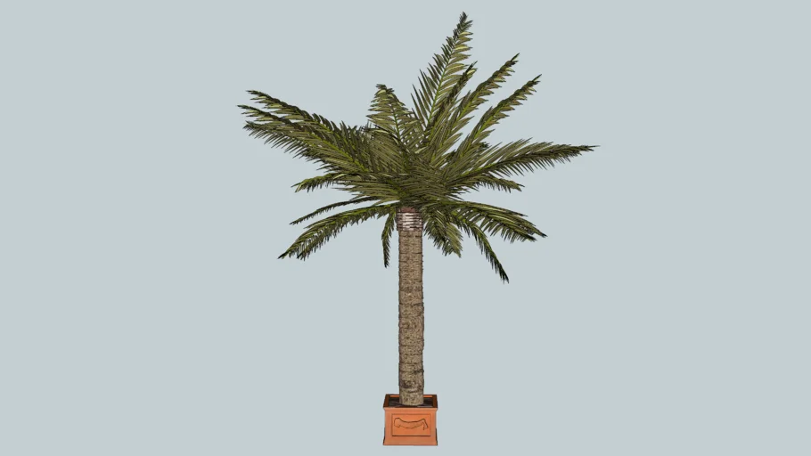 3D palmie (palm tree)