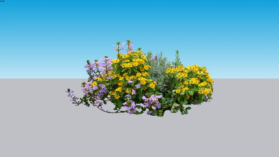 Flowers- Plante floricole