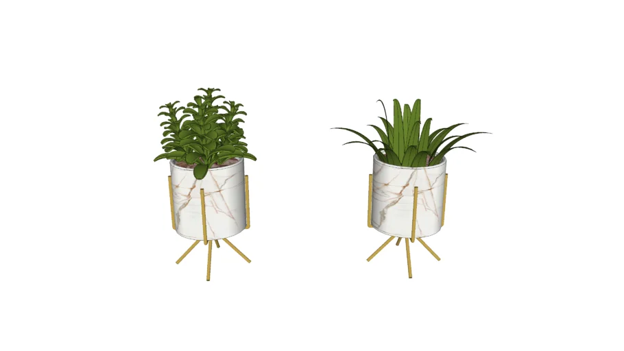 Plantas decoração
