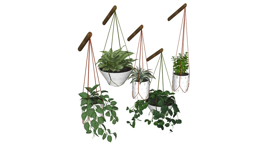 Plantas Suspensas