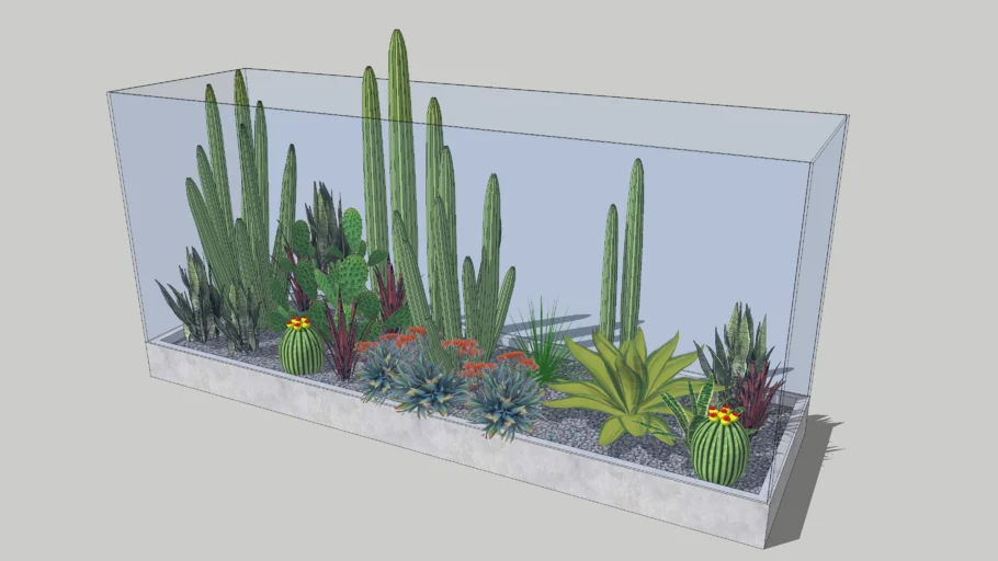 Desert indoor garden