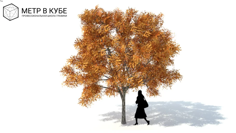 Low poly 3d tree fall autumn (042)