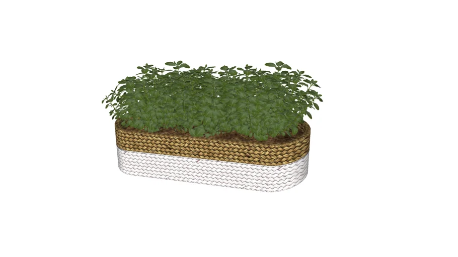 Cachepot vime