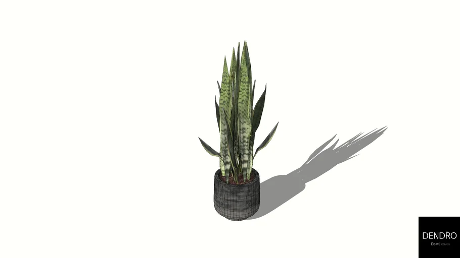 DENDRO រុក្ខជាតិ ប្រទាលពស់ក្រាយ | 3D Warehouse