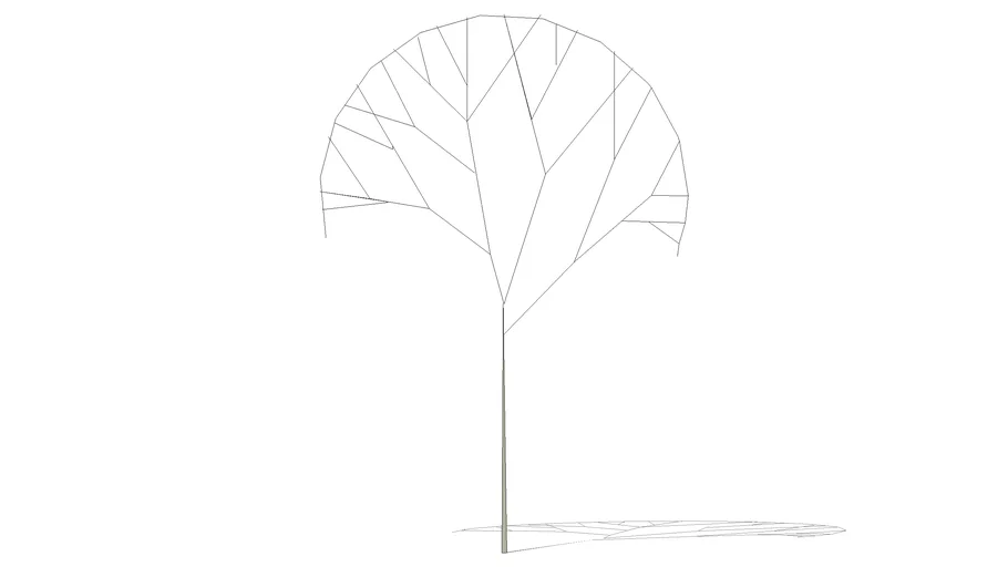 TREE 2D-SKETCH-2