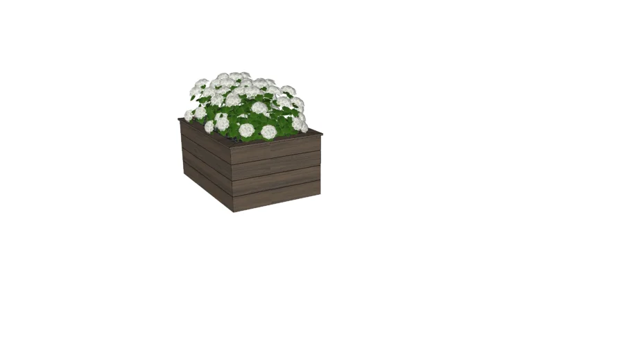 Flower Box