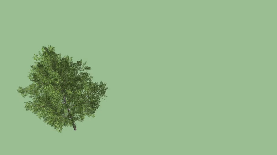 Tree 2D simulate 3D | 3D Warehouse