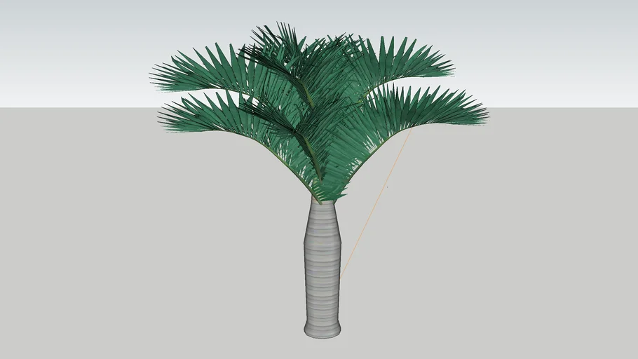 PALMEIRA TRIANGULAR/ TRIANGULAR PALM TREE