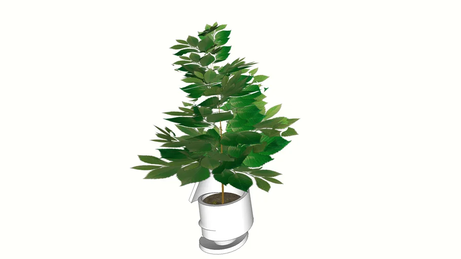 Plant/Planter pot