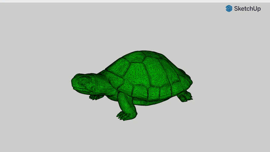 Turtle.