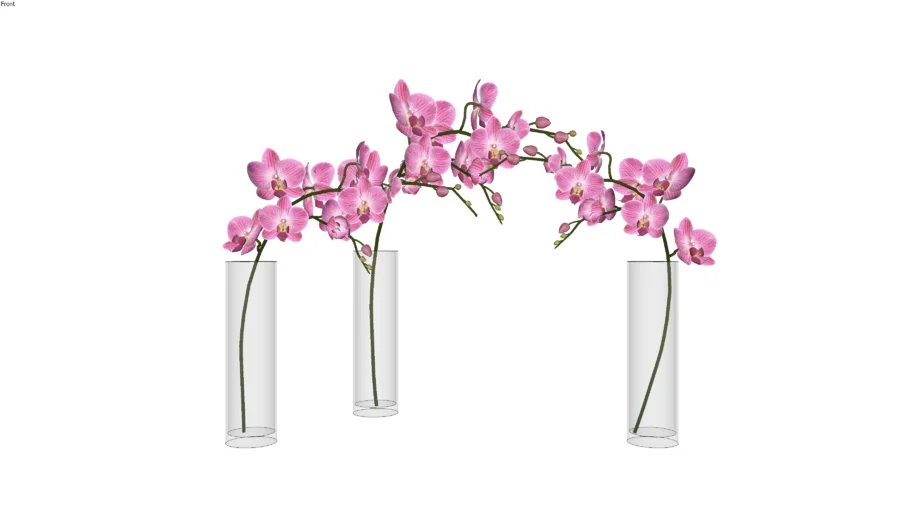 ARRANJO ORQUÍDEAS