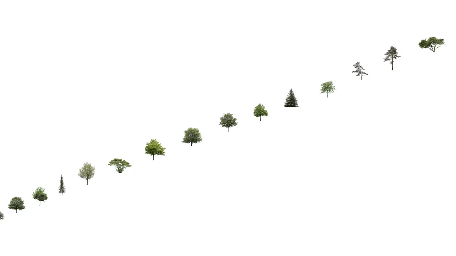 trees png