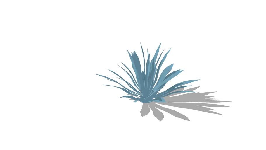 Land F/X - Shrubs - Cacti and Succulents - Agave americana - American Aloe