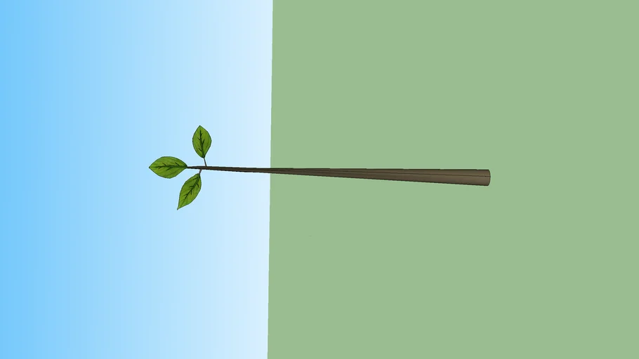 Twig and Leaves
