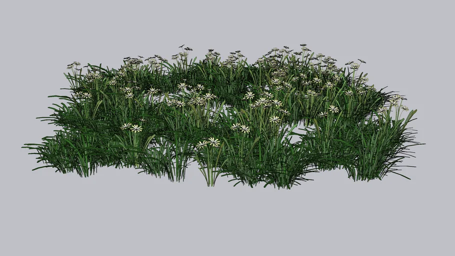 flowers in grass
