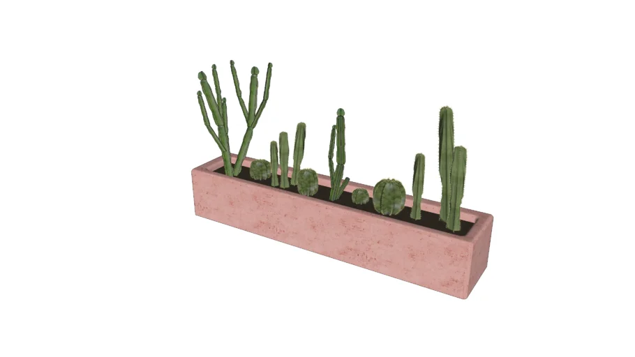Jardinera de obra con cactus
