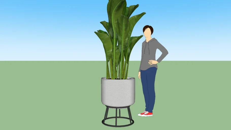 plants
