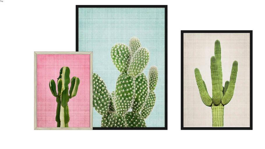 CACTUS PRINT