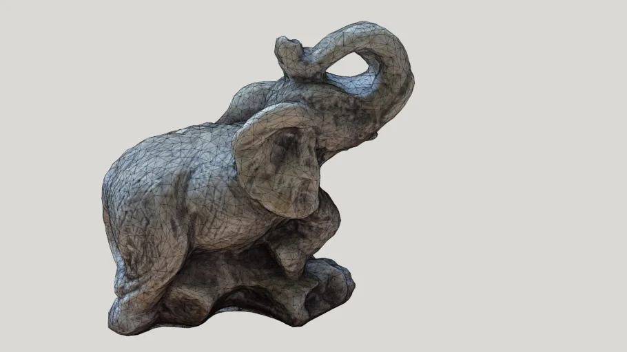 elephant, slon