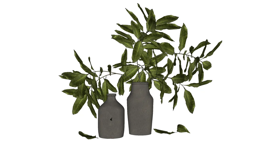 Vase with plant