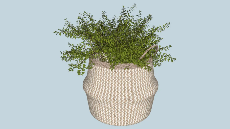 Cesto cachepot