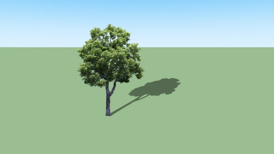 2d tree 010