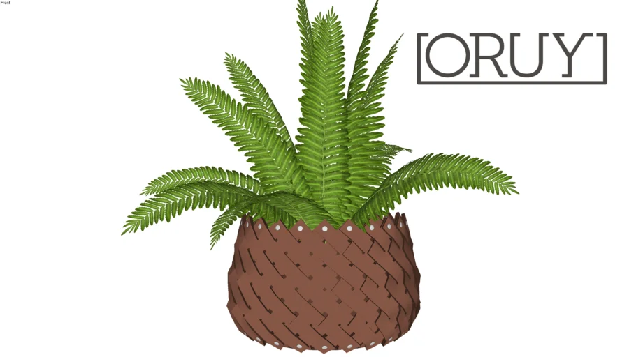 Cesto Gioello G - Oruy cesta cachepot samambaia planta plant
