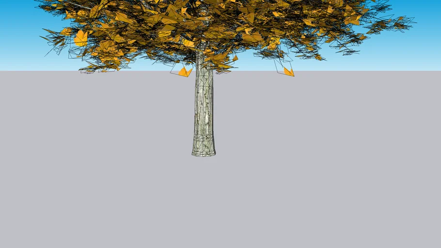 Acer Yellow tree
