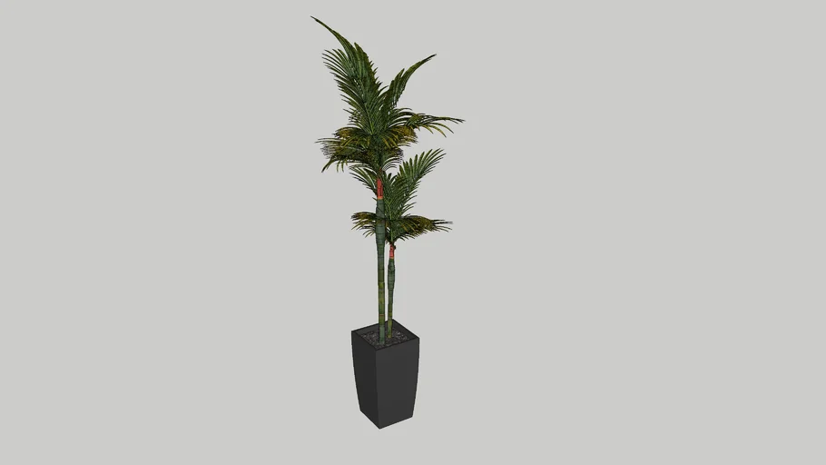 Plants 