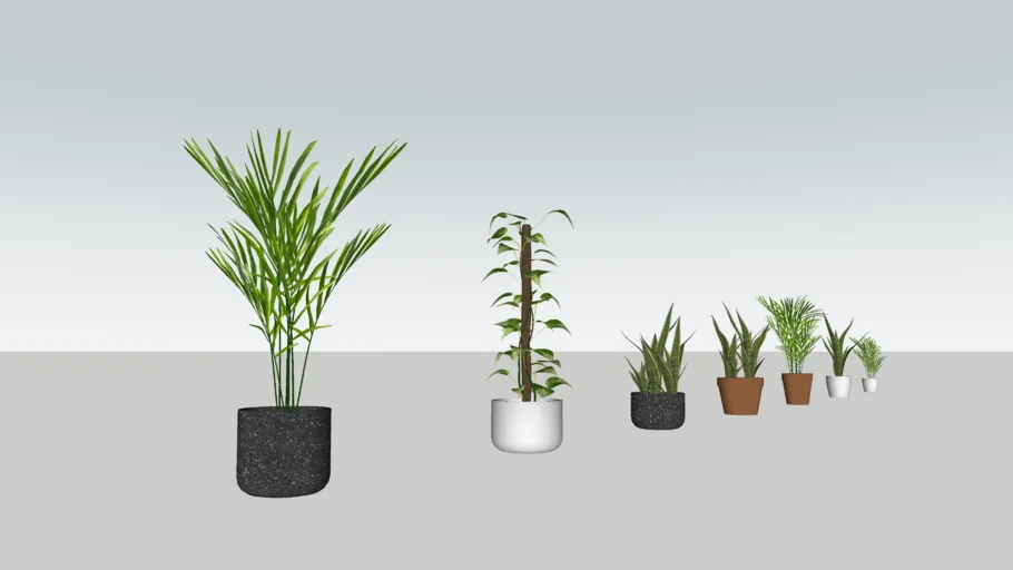 Shapespark low poly interior plants kit