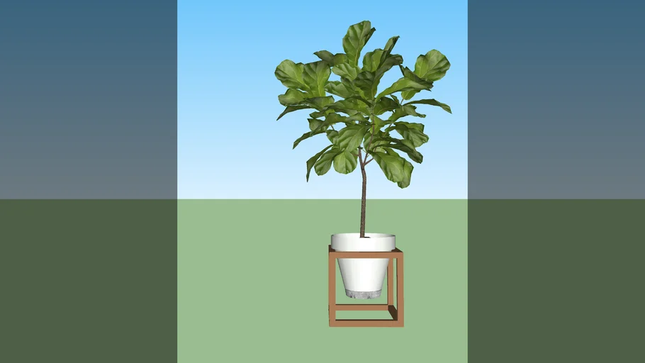 Planta Vaso Branco Ficus Madeira