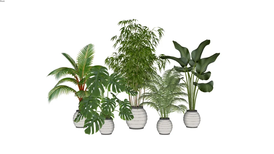 5 VASOS DE PLANTAS