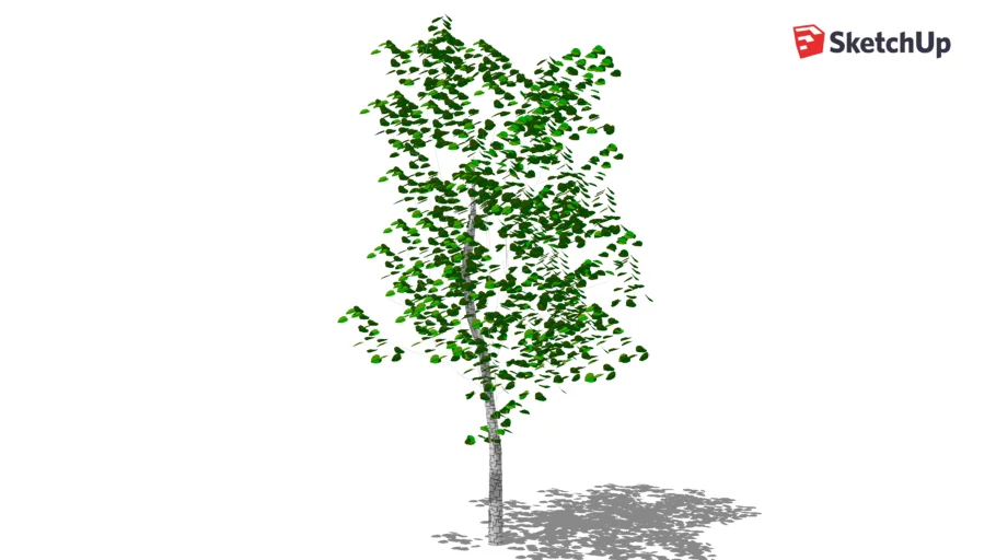 arbre