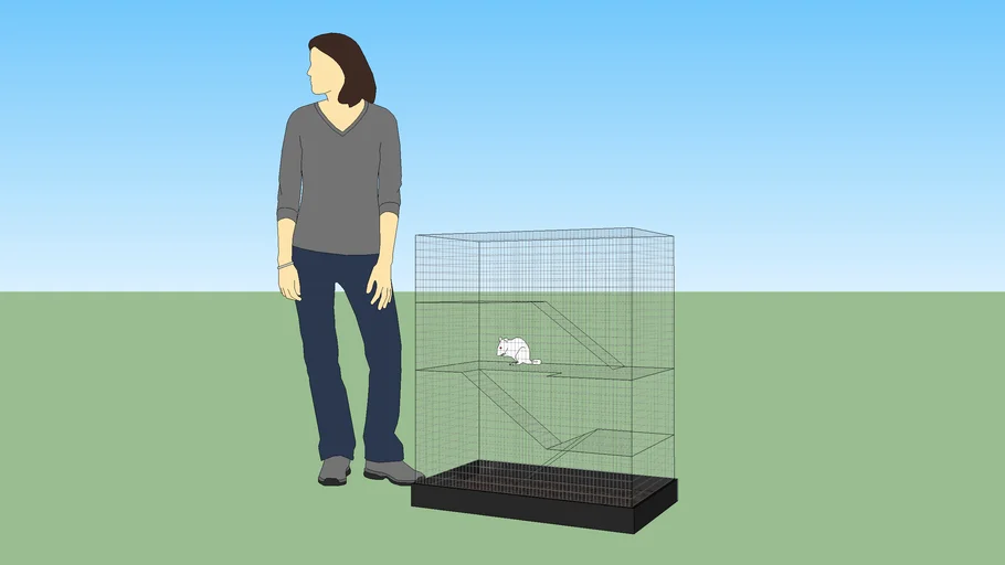 Martins Cage R695